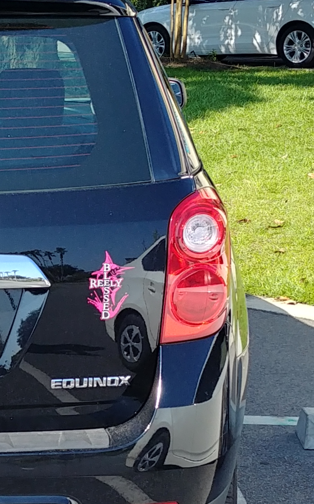 Pink & White Decal